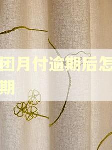 美团月付逾期后怎么分期