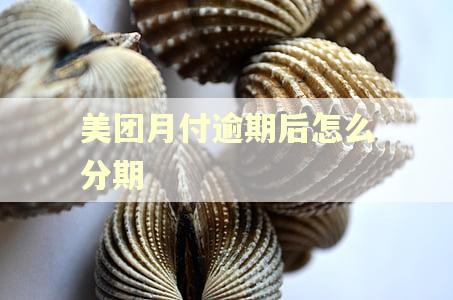美团月付逾期后怎么分期 美团月付逾期后怎么分期