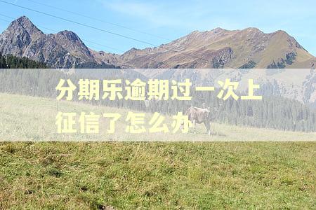 分期乐逾期过一次上征信了怎么办