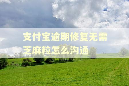 支付宝逾期修复无需芝麻粒怎么沟通