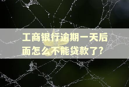 工商银行逾期一天后面怎么不能贷款了?