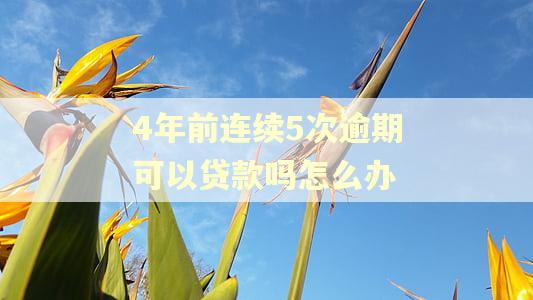 4年前连续5次逾期可以贷款吗怎么办