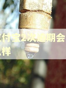 支付宝2次逾期会怎么样 支付宝2次逾期会怎么样