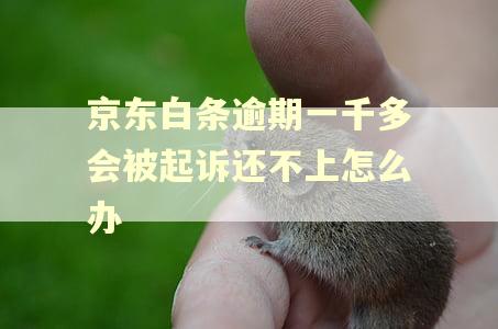 京东白条逾期一千多会被起诉还不上怎么办