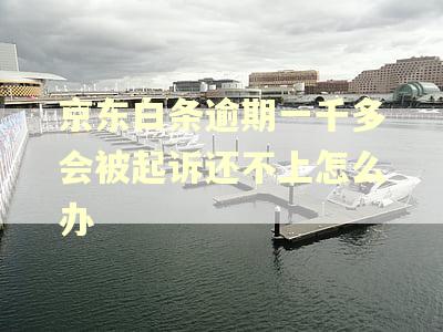 京东白条逾期一千多会被起诉还不上怎么办
