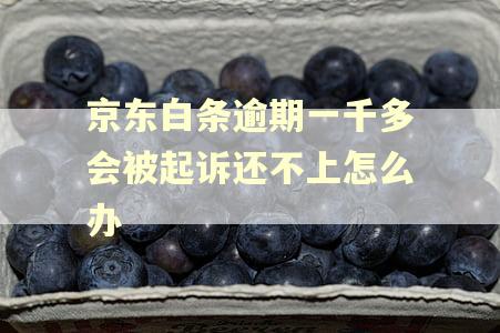 京东白条逾期一千多会被起诉还不上怎么办