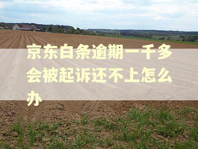 京东白条逾期一千多会被起诉还不上怎么办
