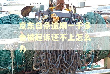 京东白条逾期一千多会被起诉还不上怎么办