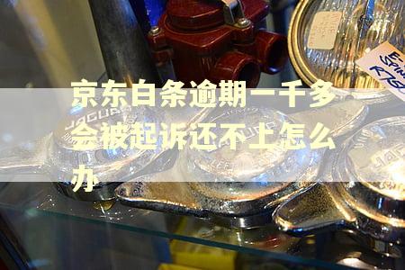 京东白条逾期一千多会被起诉还不上怎么办 京东白条逾期一千多会被起诉还不上怎么办