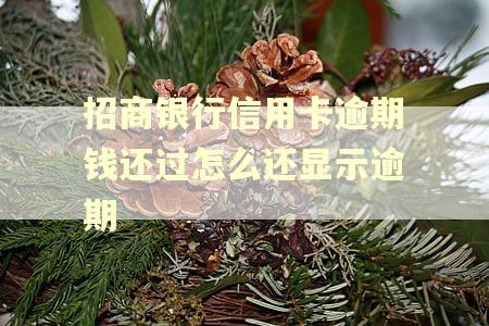 招商银行信用卡逾期钱还过怎么还显示逾期