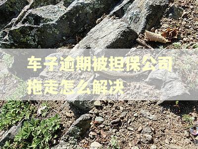 车子逾期被担保公司拖走怎么解决