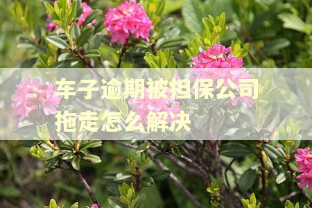 车子逾期被担保公司拖走怎么解决