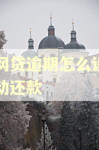 欠网贷逾期怎么设置自动还款 欠网贷逾期怎么设置自动还款