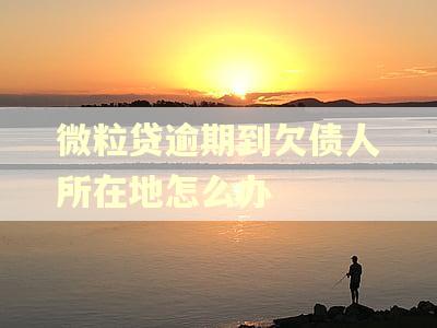 微粒贷逾期到欠债人所在地怎么办