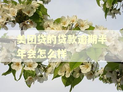 美团贷的贷款逾期半年会怎么样