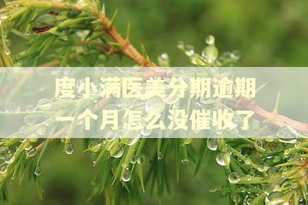 度小满医美分期逾期一个月怎么没催收了