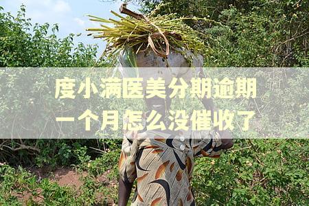度小满医美分期逾期一个月怎么没催收了