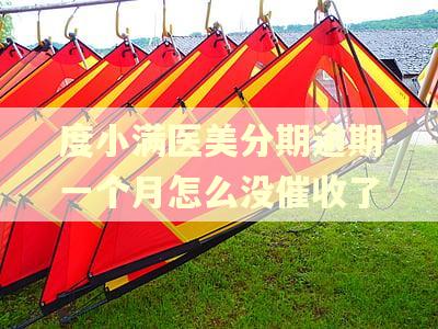 度小满医美分期逾期一个月怎么没催收了