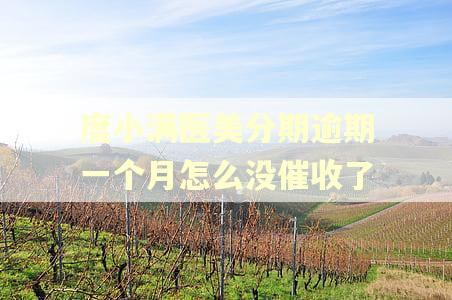 度小满医美分期逾期一个月怎么没催收了