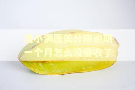 度小满医美分期逾期一个月怎么没催收了 度小满医美分期逾期一个月怎么没催收了