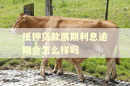 抵押贷款展期利息逾期会怎么样吗