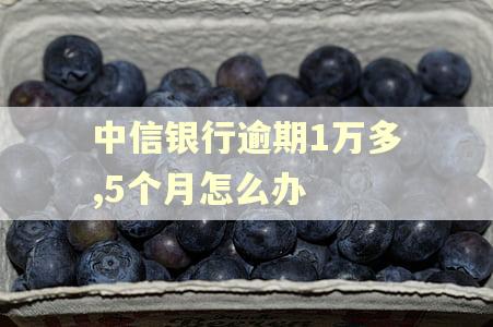 中信银行逾期1万多,5个月怎么办 中信银行逾期1万多,5个月怎么办