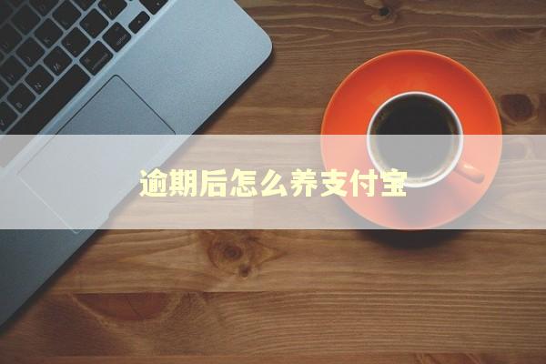 逾期后怎么养支付宝