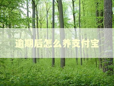 逾期后怎么养支付宝 逾期后怎么养支付宝