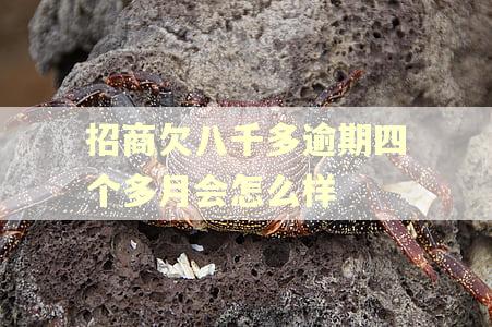 招商欠八千多逾期四个多月会怎么样