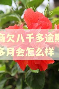 招商欠八千多逾期四个多月会怎么样