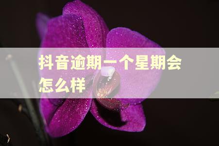 抖音逾期一个星期会怎么样