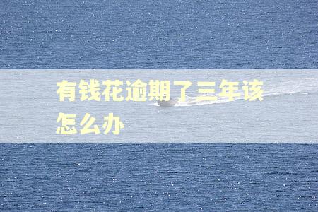 有钱花逾期了三年该怎么办