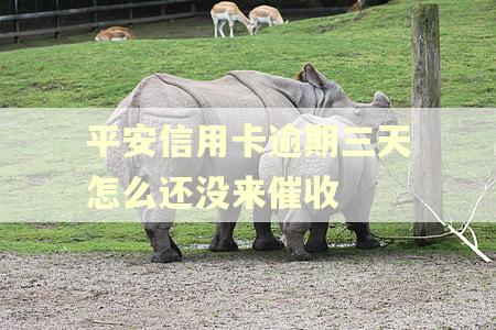 平安信用卡逾期三天怎么还没来催收