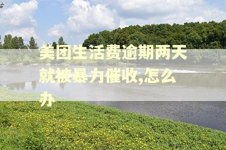 美团生活费逾期两天就被暴力催收,怎么办
