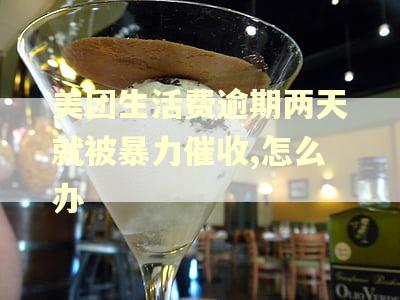 美团生活费逾期两天就被暴力催收,怎么办