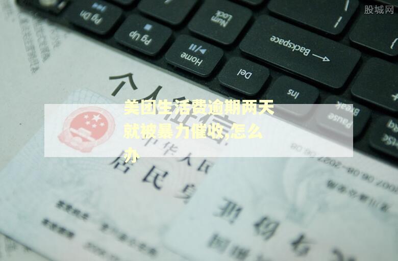 美团生活费逾期两天就被暴力催收,怎么办