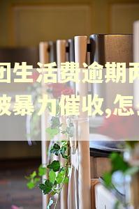 美团生活费逾期两天就被暴力催收,怎么办