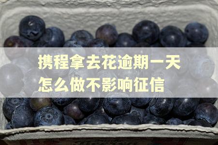 携程拿去花逾期一天怎么做不影响征信