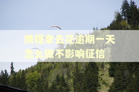 携程拿去花逾期一天怎么做不影响征信