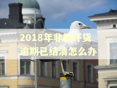 2018年非循环贷逾期已结清怎么办