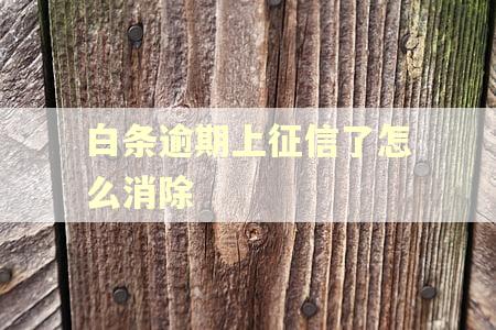 白条逾期上征信了怎么消除
