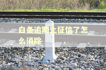 白条逾期上征信了怎么消除 白条逾期上征信了怎么消除