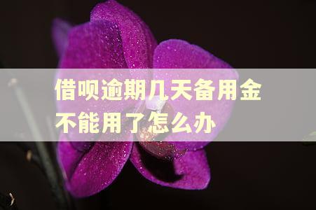 借呗逾期几天备用金不能用了怎么办 借呗逾期几天备用金不能用了怎么办