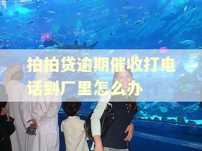 拍拍贷逾期催收打电话到厂里怎么办
