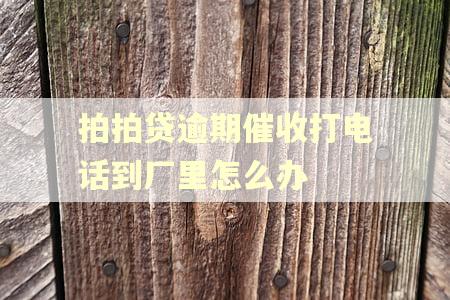 拍拍贷逾期催收打电话到厂里怎么办