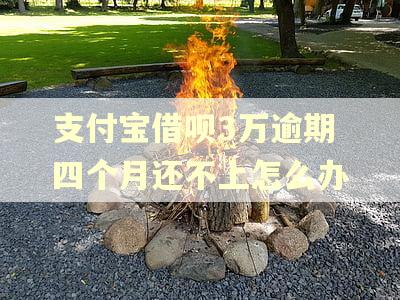 支付宝借呗3万逾期四个月还不上怎么办