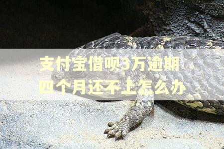 支付宝借呗3万逾期四个月还不上怎么办