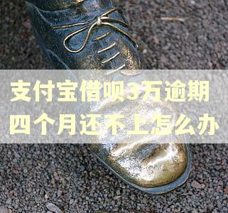 支付宝借呗3万逾期四个月还不上怎么办 支付宝借呗3万逾期四个月还不上怎么办