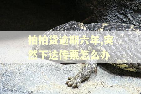 拍拍贷逾期六年,突然下达传票怎么办