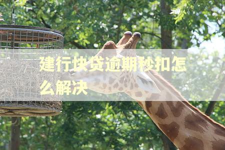 建行快贷逾期秒扣怎么解决